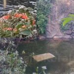 A dead body was found inside a car that fell into a rock pool in Kottayam