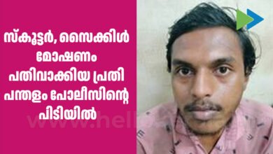 pandalam arrest